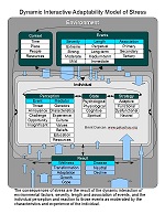 Duncan's Dynamic Interactive Adaptability Model provides an analytical framework for adjusting perspectives on stress Duncan's Dynamic Interactive Adaptability Model provides an analytical framework for adjusting perspectives on stress